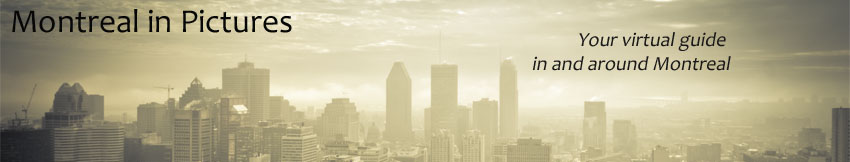 Montreal In Pictures
